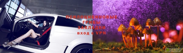 мдпв Лабытнанги
