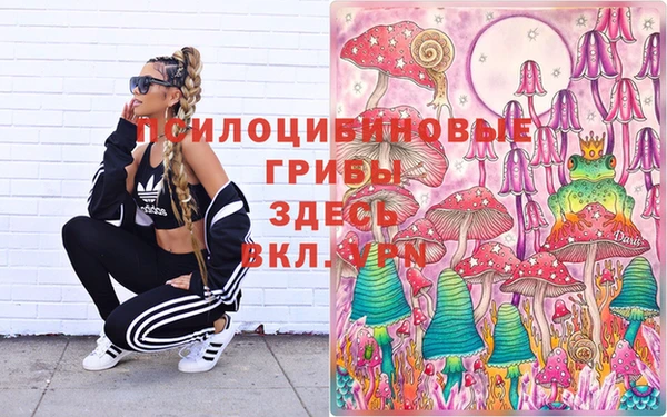 шишки Липки