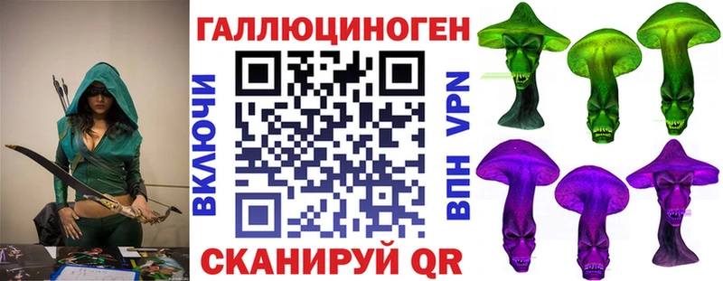 Псилоцибиновые грибы Psilocybe  закладки  Калининград 